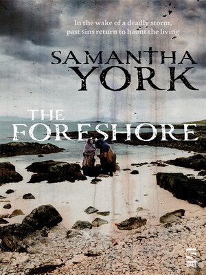 cover image of The Foreshore